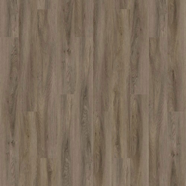 Picture of Aladdin Commercial - Forest Lawn 5.0 Portobello