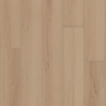 Picture of Shaw Builder - Radiant Living Champagne