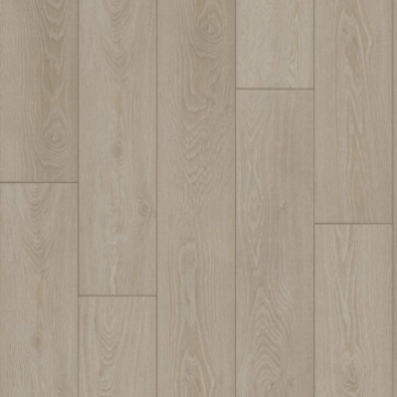 Picture of Shaw Builder - Radiant Living Feather Grey