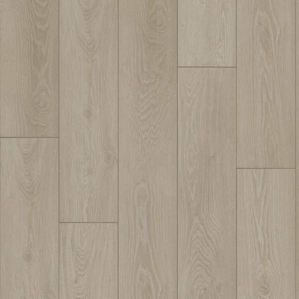 Picture of Shaw Builder - Radiant Living Feather Grey
