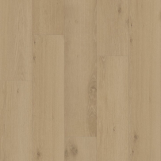 Picture of Shaw Builder - Renegade Arches