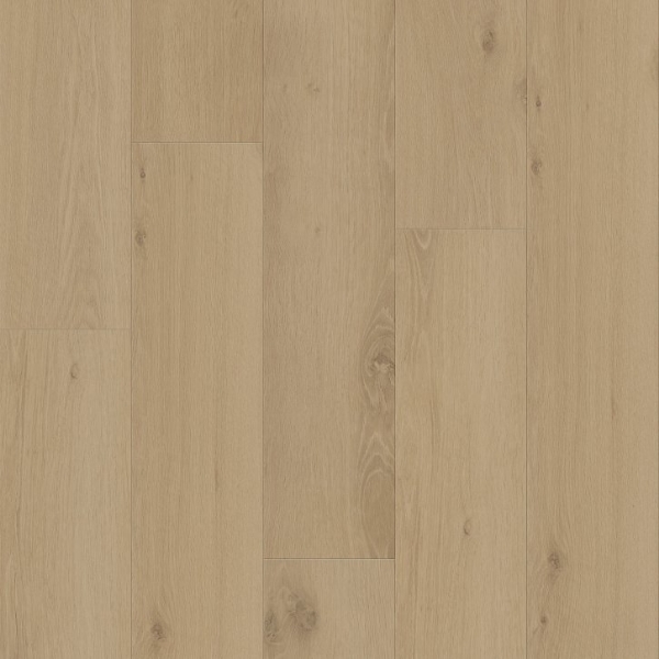 Picture of Shaw Builder - Renegade Arches