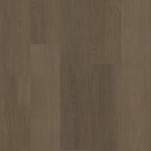 Picture of Shaw Builder - Renegade Denali