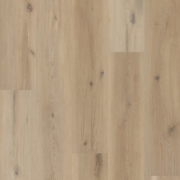 Picture of Shaw Builder - Temporal Sea Salt Oak