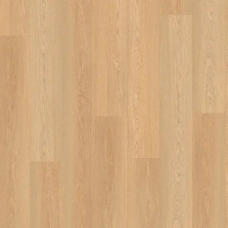 Picture of Stanton - Saybrook Maple Sugar