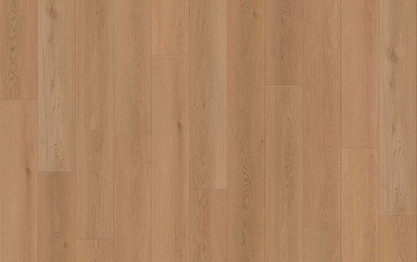 Picture of Lions Floor - Seaside Summit Sunrise Sparkle