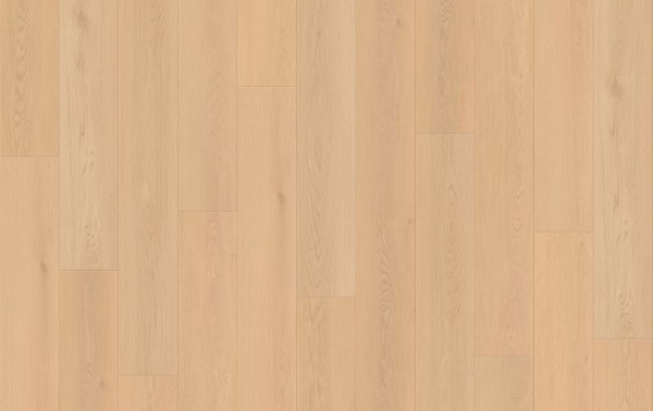 Picture of Lions Floor - Seaside Summit Sandstone Whisper