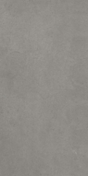 Picture of Elysium - Core 12 x 24 Concrete