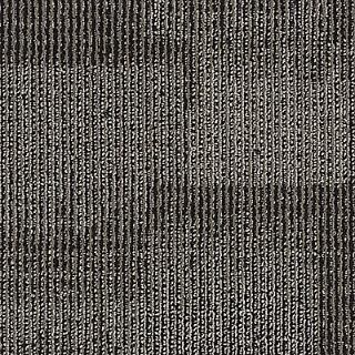 Picture of Aladdin Commercial - Onward Bound Rare Opportunity