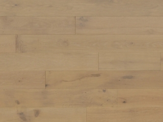 Picture of Monarch Plank - Lago Bolsena