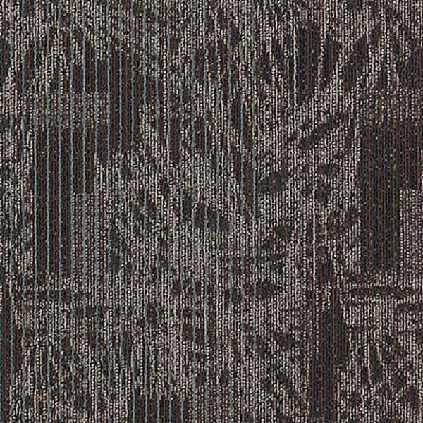 Picture of Aladdin Commercial - Transforming Spaces Visual Edge