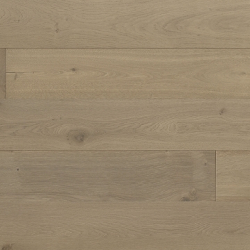 Picture of Monarch Plank - Tableau Renoir