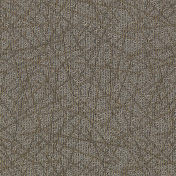 Picture of Aladdin Commercial - Brilliantly Amazed Empower Wow