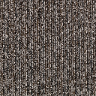 Picture of Aladdin Commercial - Brilliantly Amazed So Intrigued