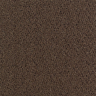 Picture of Aladdin Commercial - Walk Right Up Walnut