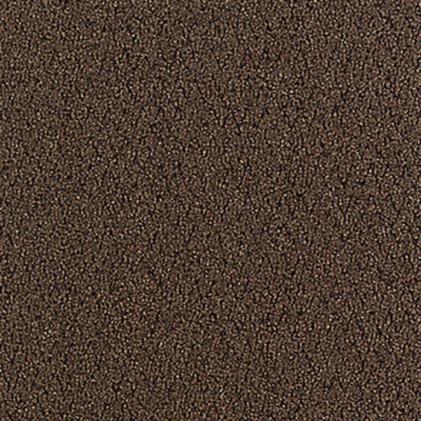 Picture of Aladdin Commercial - Walk Right Up Walnut