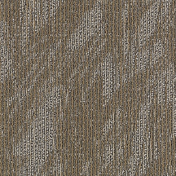 Picture of Aladdin Commercial - Total Visual Empower Wow