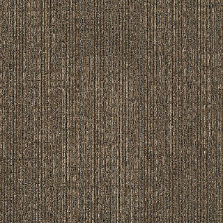 Picture of Aladdin Commercial - Current Events Special Report