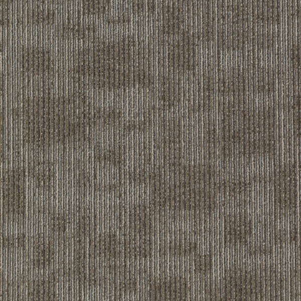 Picture of Aladdin Commercial - Cool Calm Intuition