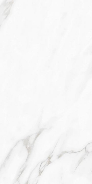 Picture of Elysium - Carenza 12 x 24 Bianca Polished