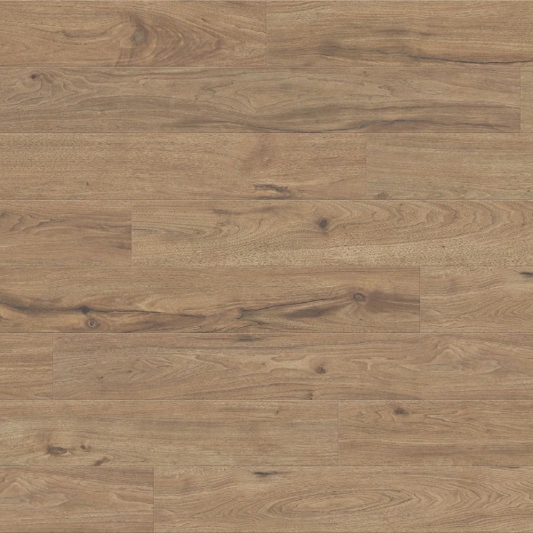 Picture of TrueTouch - Momentum Truffle