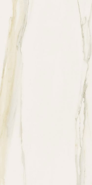 Picture of Elysium - Classici 12 x 24 Calacatta Gold