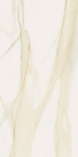 Picture of Elysium - Classici 12 x 24 Calacatta Gold Matte