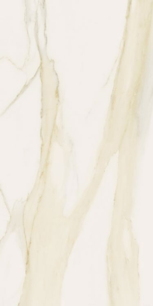 Picture of Elysium - Classici 12 x 24 Calacatta Gold Matte
