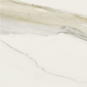Picture of Elysium - Classici 24 x 24 Calacatta Gold Matte
