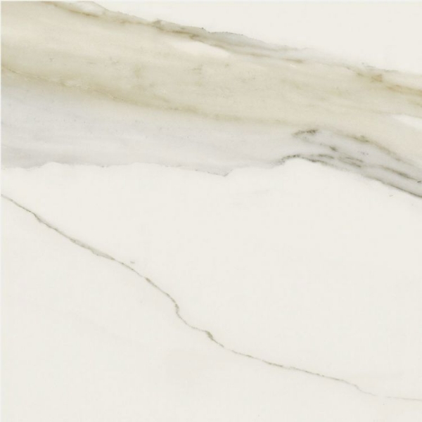 Picture of Elysium - Classici 24 x 24 Calacatta Gold Matte