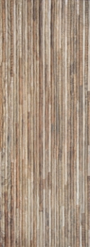 Picture of Elysium - Clever Roble