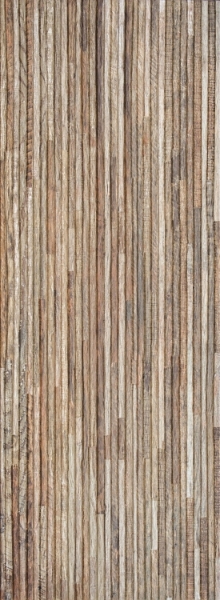 Picture of Elysium - Clever Roble