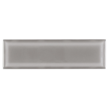 Picture of Anthology Tile - Boutique Sleek Fossil