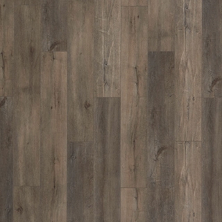 Picture of Palmetto Road - Impact Drawbridge