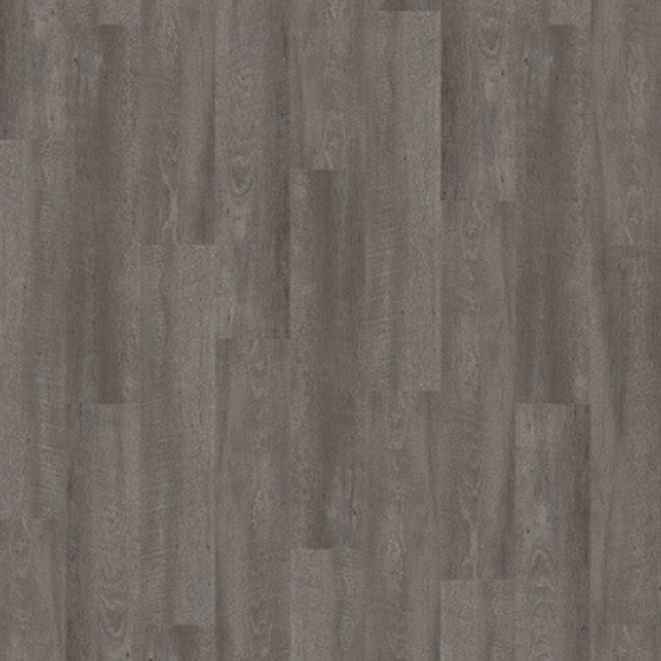 Picture of Palmetto Road - Sojourn Compass