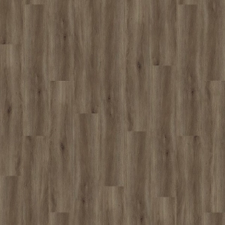 Picture of Palmetto Road - Sojourn Tempo