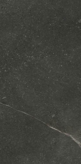 Picture of Elysium - Madison 12 x 24 Grafito