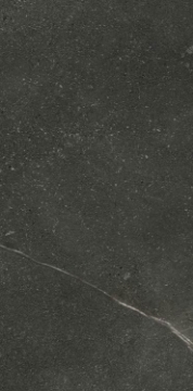 Picture of Elysium - Madison 12 x 24 Grafito