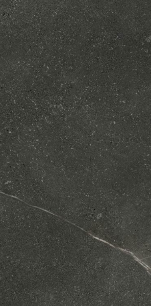 Picture of Elysium - Madison 12 x 24 Grafito