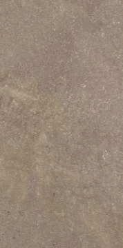 Picture of Elysium - Madison 12 x 24 Noce