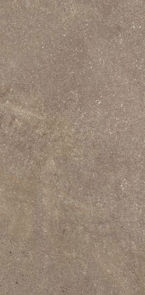 Picture of Elysium - Madison 12 x 24 Noce