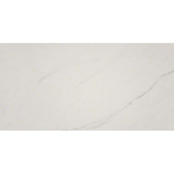 Picture of MS International - Aria 12 x 24 Ice