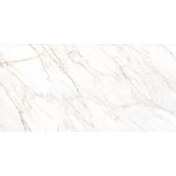 Picture of Museum by Peronda - Gioia 24 x 48 Silver