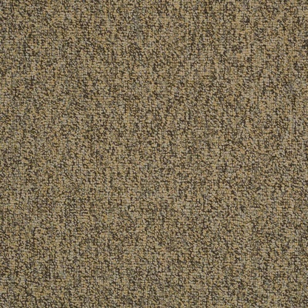 Picture of Chesapeake Flooring - Assistant Raw Gold