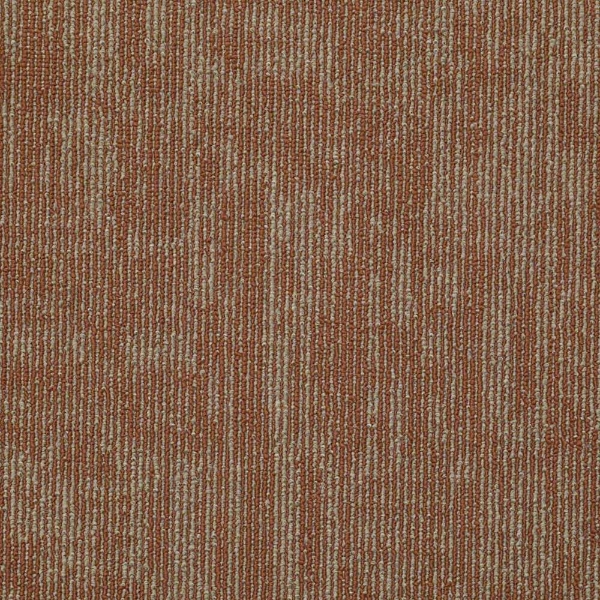 Picture of Chesapeake Flooring - Correspondent Clay Port