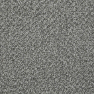 Picture of Chesapeake Flooring - Interaction Sea Gull