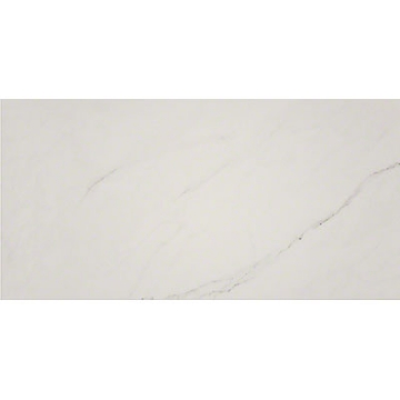 Picture of MS International - Aria 24 x 48 Ice