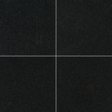 Picture of MS International - Granite 24 X 24 Premium Black