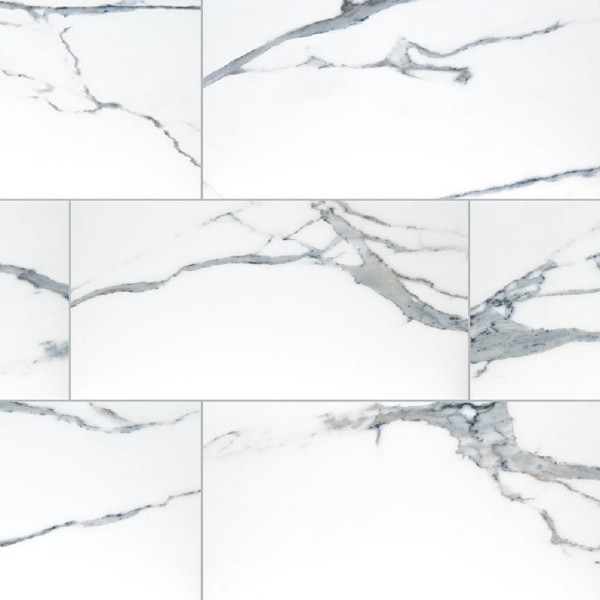 Picture of MS International - Savoy 24 x 48 Matte Azula