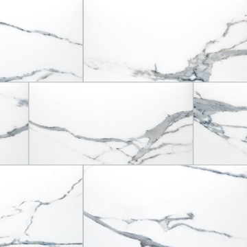 Picture of MS International - Savoy 24 x 48 Polished Azula